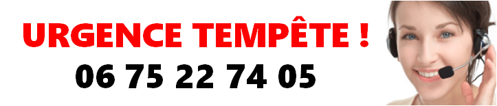 Urgence Tempête.png